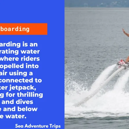 How-dose-the-flyboarding-works.webp