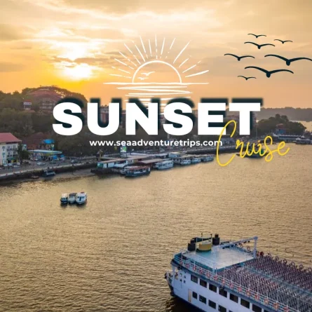 evening-cruise-in-goa.webp