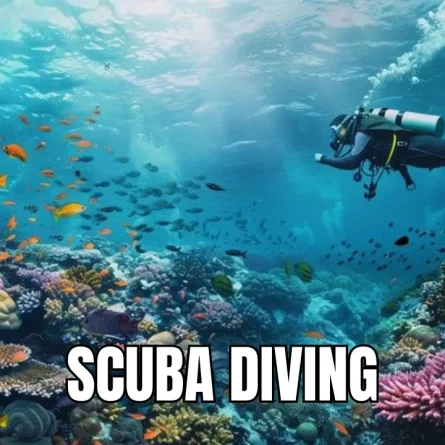 scuba-diving-in-goa-1.webp