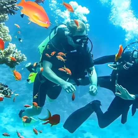 scuba-diving-in-goa-3.webp